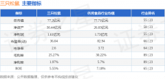 逛资资金净流出1063.39万